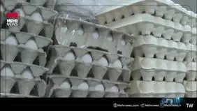 علت گرانی تخم مرغ چه بود؟+ ویدئو