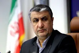 إسلامي سیلتقی غروسي في فیینا