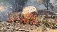 مهار کامل آتش‌سوزی در آرادکوه از ۲ روز پیش