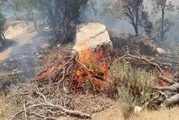 مهار کامل آتش‌سوزی در آرادکوه از ۲ روز پیش