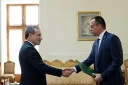 دیدار نماینده جدید فائو با عراقچی

