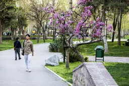 پیش بینی هوای خراسان رضوی و مشهد چهارشنبه ۱۹ فروردین ۱۴۰۵/ هوا گرمتر می شود