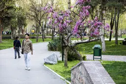 پیش بینی هوای خراسان رضوی و مشهد چهارشنبه ۱۹ فروردین ۱۴۰۵/ هوا گرمتر می شود