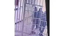 همکاری و مساعدت زندان در مورد جواد روحی/ ملاقات حضوری مرحوم روحی با پدر و مادرش در روز چهارشنبه ۸ شهریور/ ویدئو