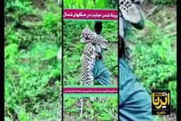 شکارچیان پلنگ ایرانی شناسایی شدند