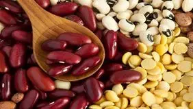 اختلاف قیمت ۳۲ درصدی حبوبات در میادین نسبت به سطح شهر

