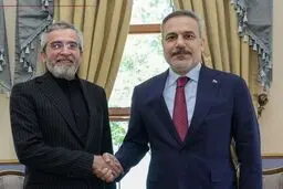 آناتولی: دیدار باقری با فیدان در استانبول 