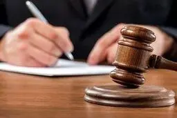 تمکین انتخابی
