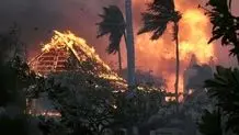 شناسایی و دستگیری 14 نفر از عاملان آتش‌سوزی جنگل‌های مریوان

