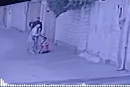 واکنش قوه قضائبه به سرقت خشن طلای‌های یک زن در مقابل چشمان فرزندش در صفادشت